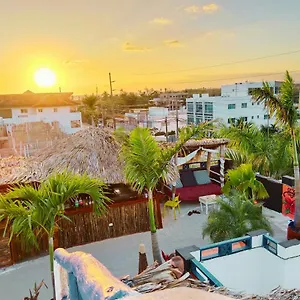 Hotel Tribe Jungle & Flamingo
